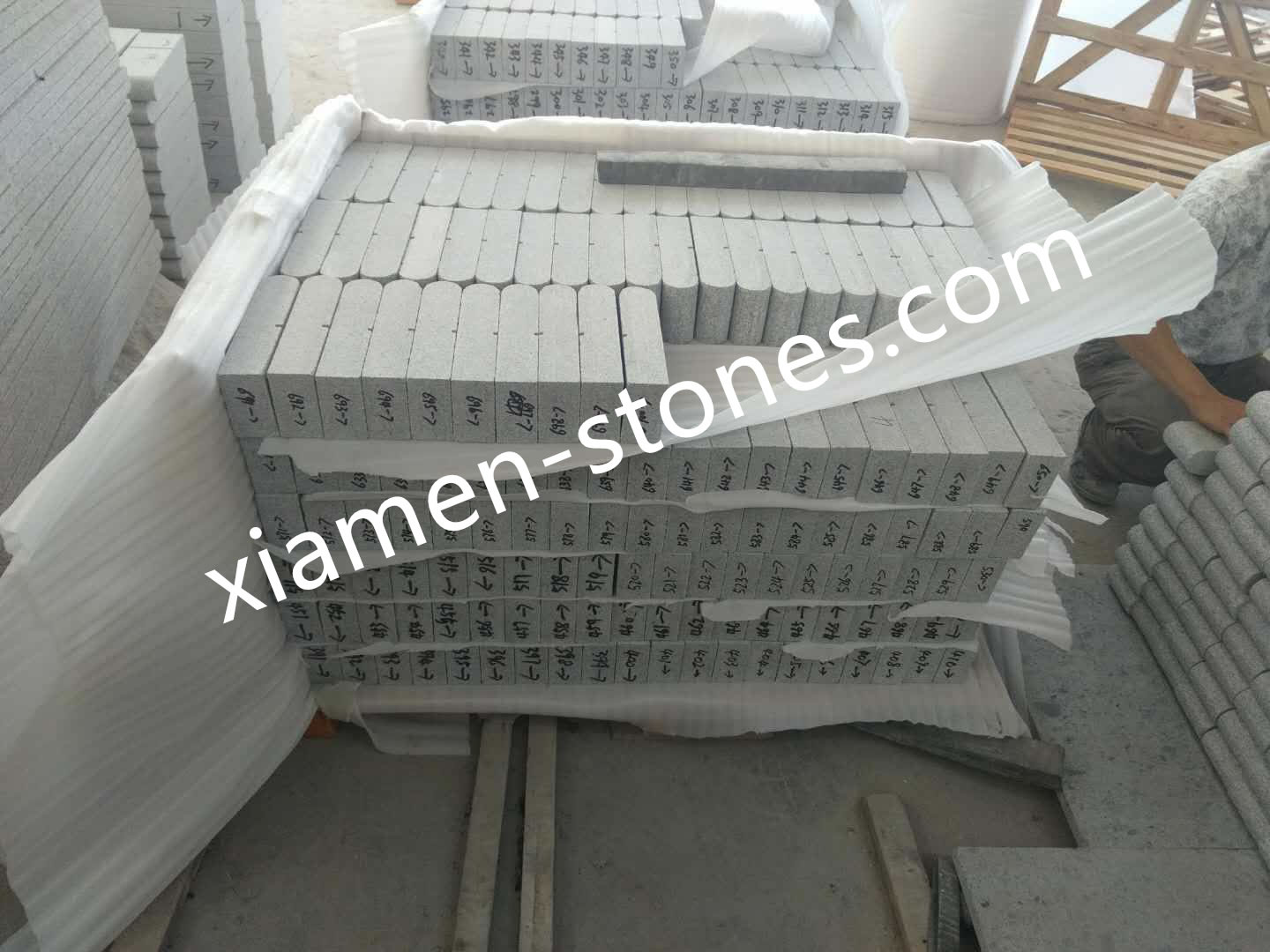 CS09