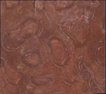 M09