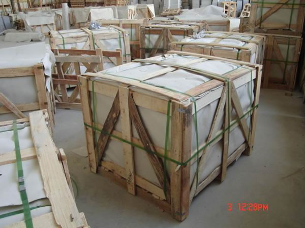 P-L02