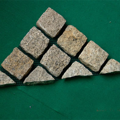 Pm03