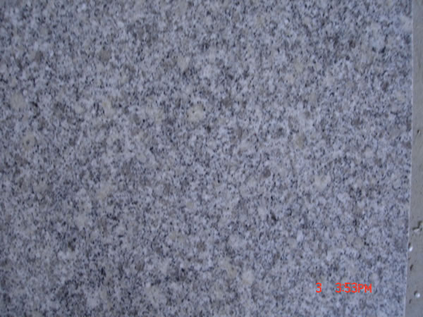 T009