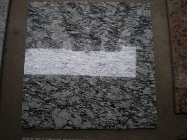 T019